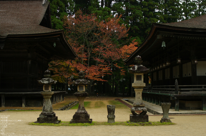 2010_高野山紅葉_13.jpg