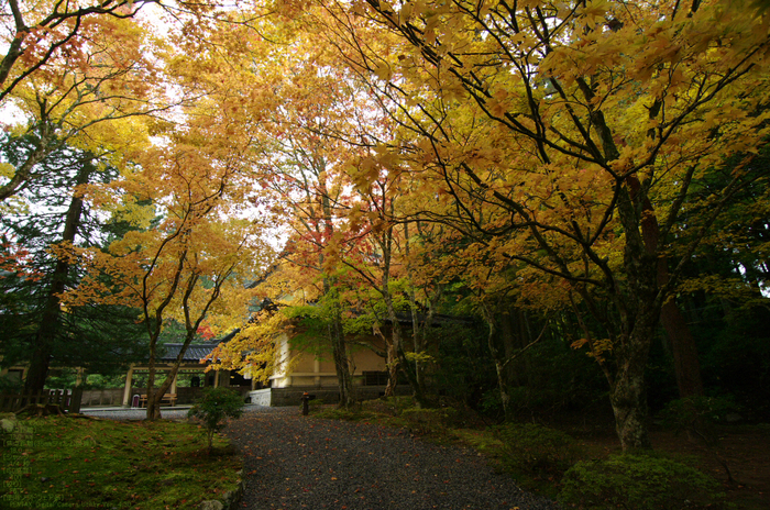 2010_高野山紅葉_2.jpg