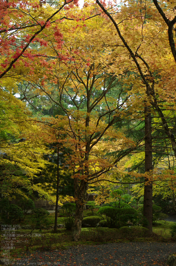 2010_高野山紅葉_3.jpg