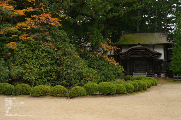 2010_高野山紅葉_30.jpg