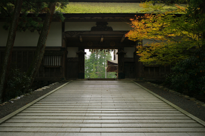 2010_高野山紅葉_32.jpg