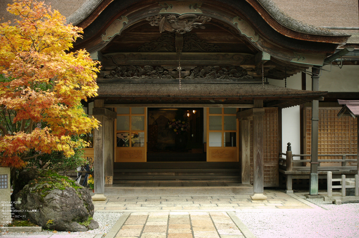 2010_高野山紅葉_33.jpg