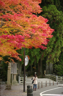 2010_高野山紅葉_34.jpg