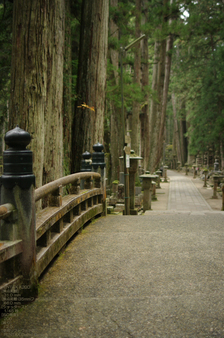 2010_高野山紅葉_35.jpg