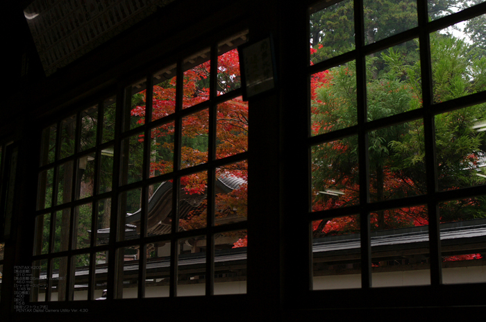 2010_高野山紅葉_38.jpg