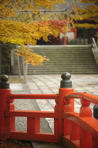 2010_高野山紅葉_40.jpg