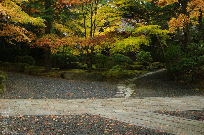 2010_高野山紅葉_5.jpg