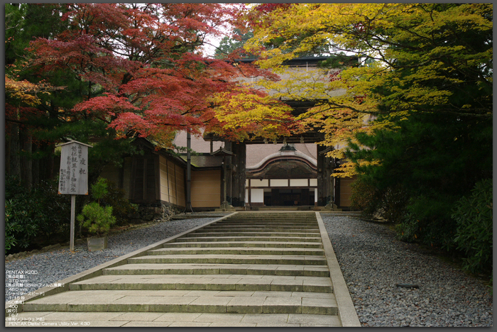 2010_高野山紅葉_top2.jpg