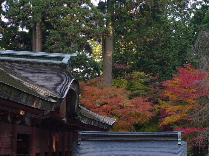 645D_延暦寺_13.jpg