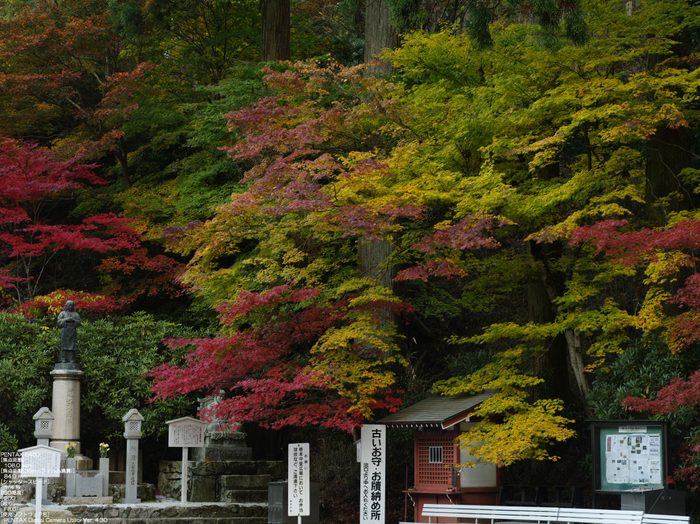 645D_延暦寺_14.jpg