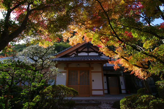 2010_善法律寺_6.jpg