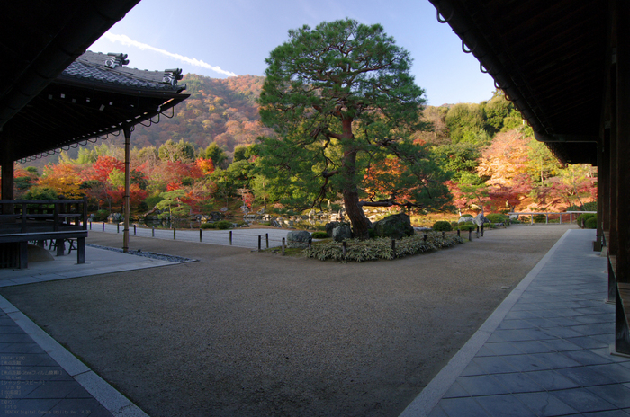 2010_天龍寺・紅葉_12.jpg