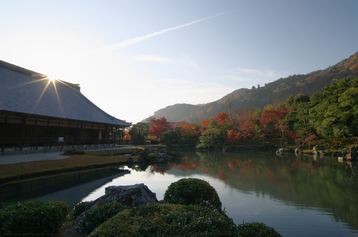 2010_天龍寺・紅葉_15.jpg