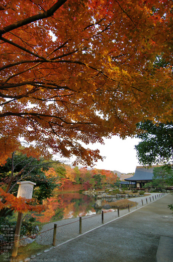 2010_天龍寺・紅葉_3.jpg