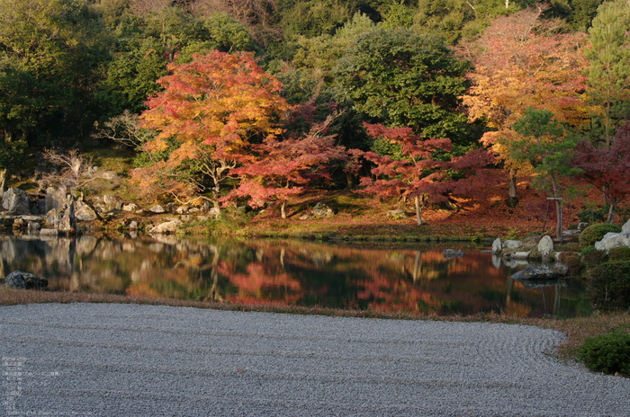 2010_天龍寺・紅葉_5.jpg