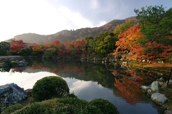 2010_天龍寺・紅葉_6.jpg