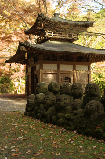 2010_愛宕念仏寺・紅葉_11.jpg