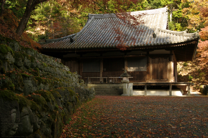 2010_愛宕念仏寺・紅葉_13.jpg