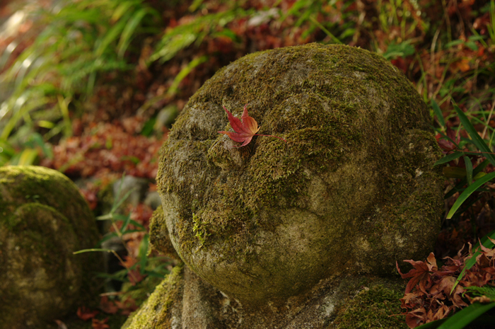 2010_愛宕念仏寺・紅葉_14.jpg