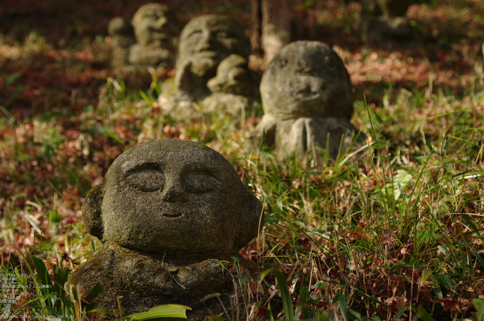 2010_愛宕念仏寺・紅葉_2.jpg