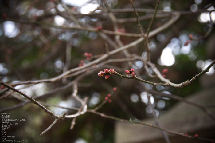 2010_終い天神_11.jpg