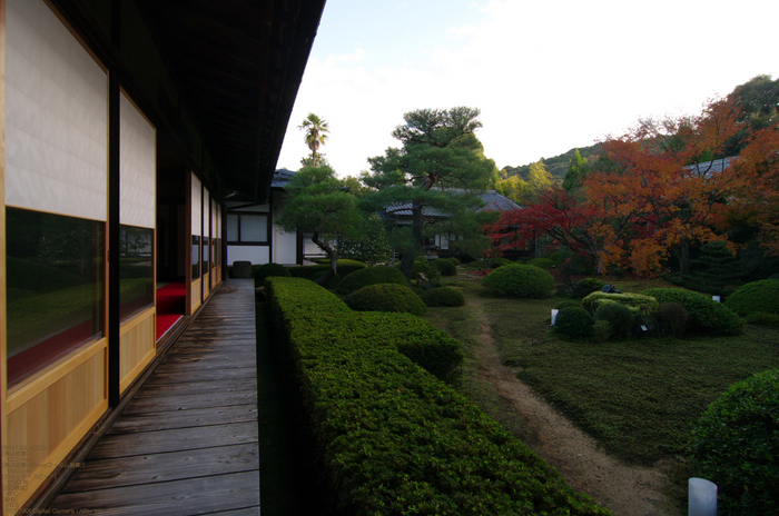 2010_雲龍院・紅葉_4.jpg