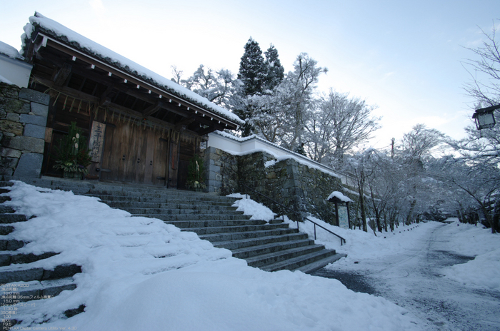 2011_三千院・雪景_10.jpg