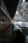 2011_三千院・雪景_12.jpg