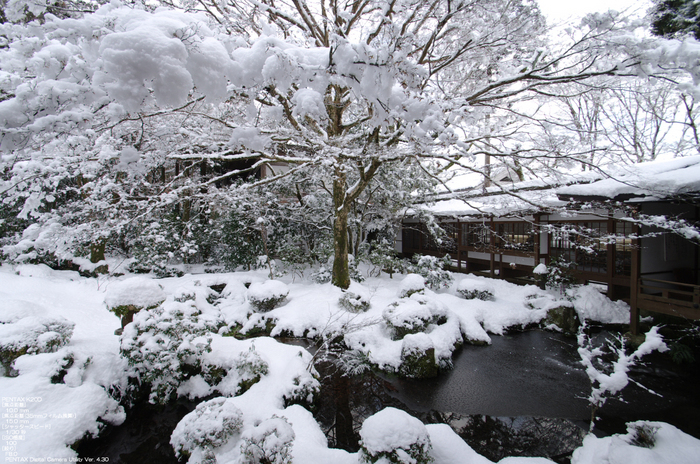 2011_三千院・雪景_13.jpg