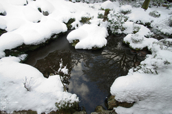 2011_三千院・雪景_14.jpg