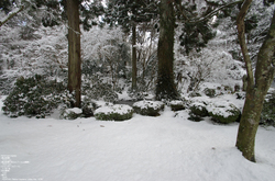 2011_三千院・雪景_19.jpg