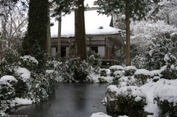 2011_三千院・雪景_23.jpg