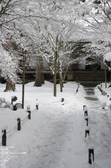 2011_三千院・雪景_24.jpg