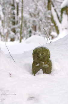 2011_三千院・雪景_27.jpg