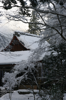 2011_三千院・雪景_28.jpg