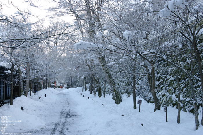 2011_三千院・雪景_3.jpg