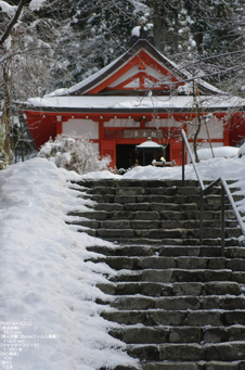 2011_三千院・雪景_30.jpg