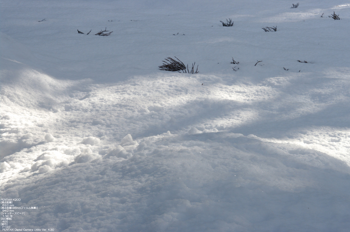 2011_三千院・雪景_31.jpg