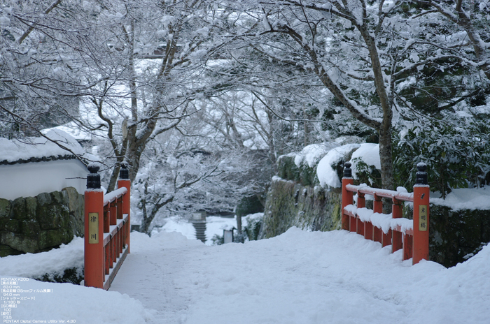 2011_三千院・雪景_4.jpg