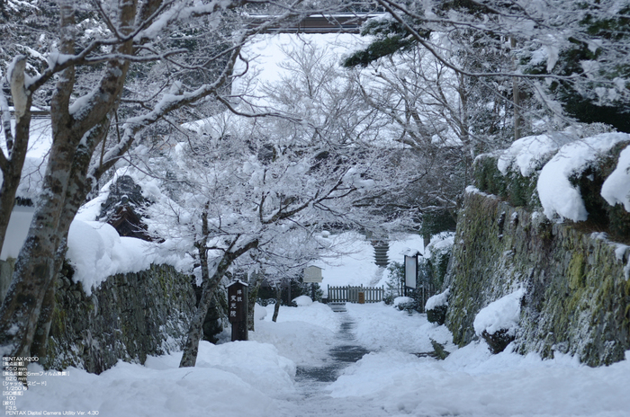 2011_三千院・雪景_5.jpg