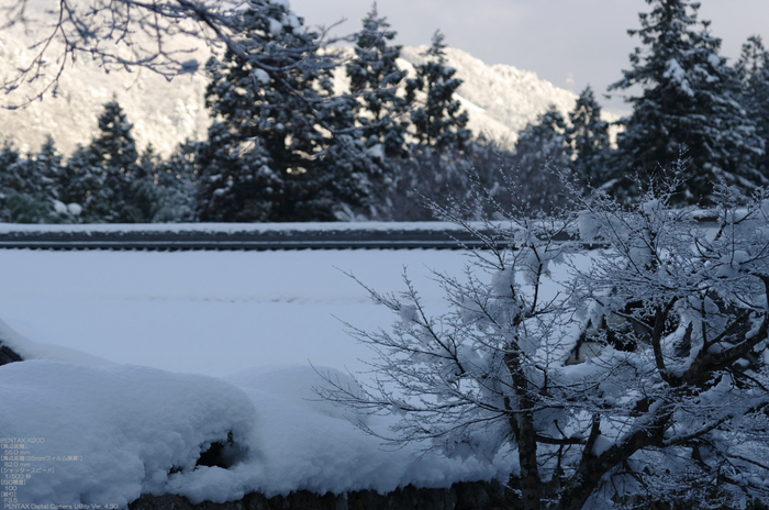 2011_三千院・雪景_6.jpg