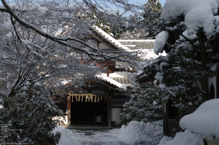 2011_三千院・雪景_9.jpg