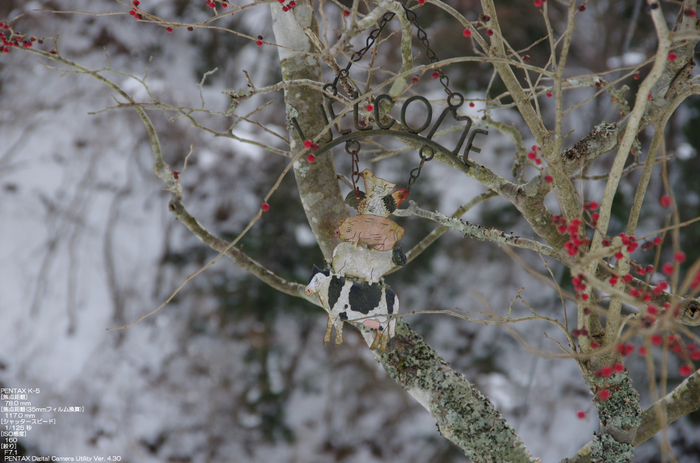 2011_東吉野_雪_18.jpg