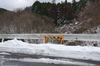 2011_東吉野_雪_20.jpg