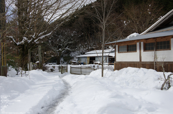 2011_東吉野_雪_22.jpg