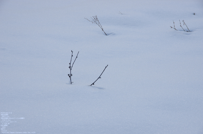 2011_東吉野_雪_46.jpg