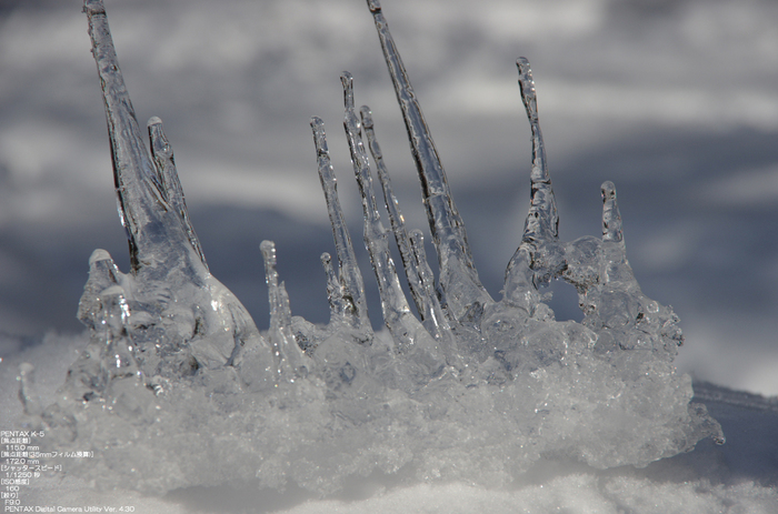 2011_東吉野_雪_49.jpg