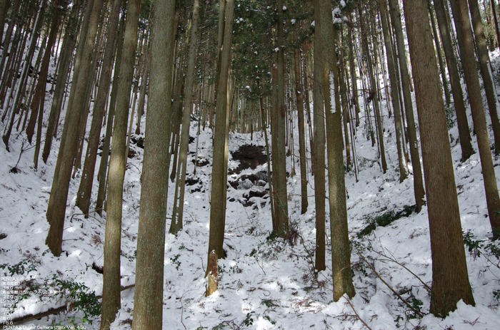 2011_東吉野_雪_50.jpg