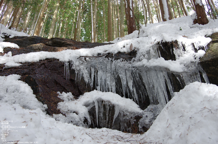 2011_東吉野_雪_51.jpg