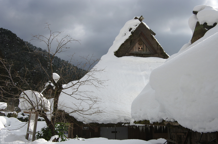 2011_美山_雪_25.jpg